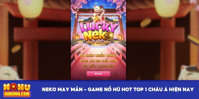 Neko May Mắn